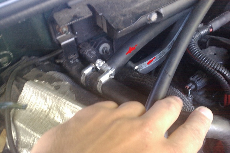 IMAG0051.jpg