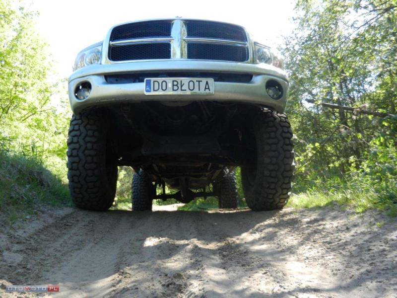 do błota.jpg
