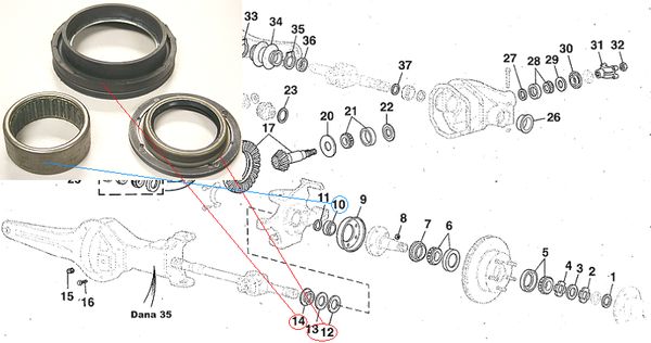 dana35.jpg