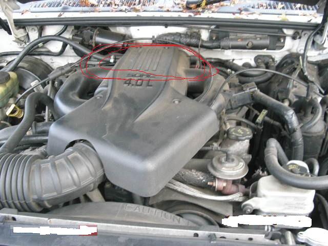 C16976088_1.jpg