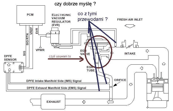 egr_425.GIF