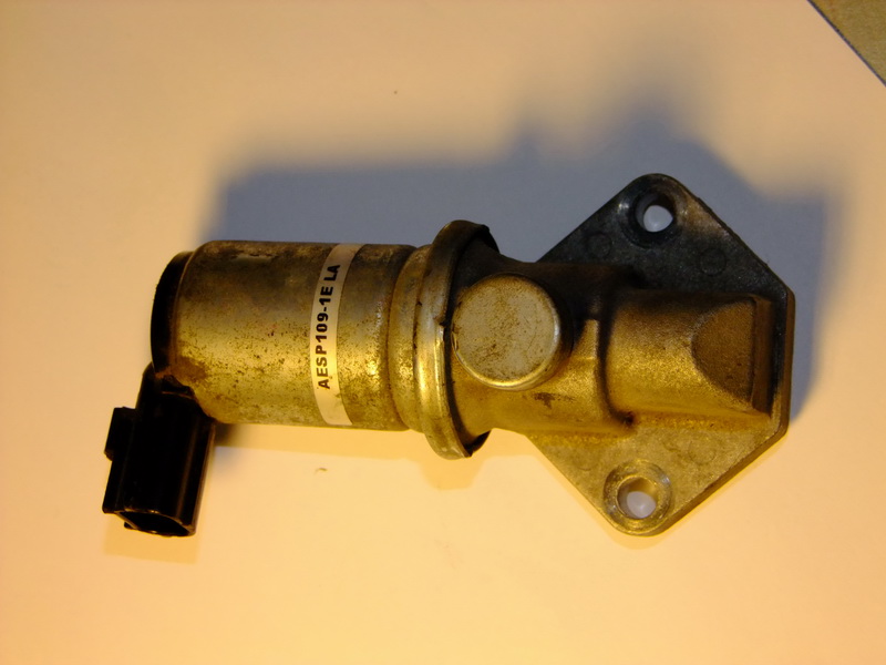 krokowiec1.jpg