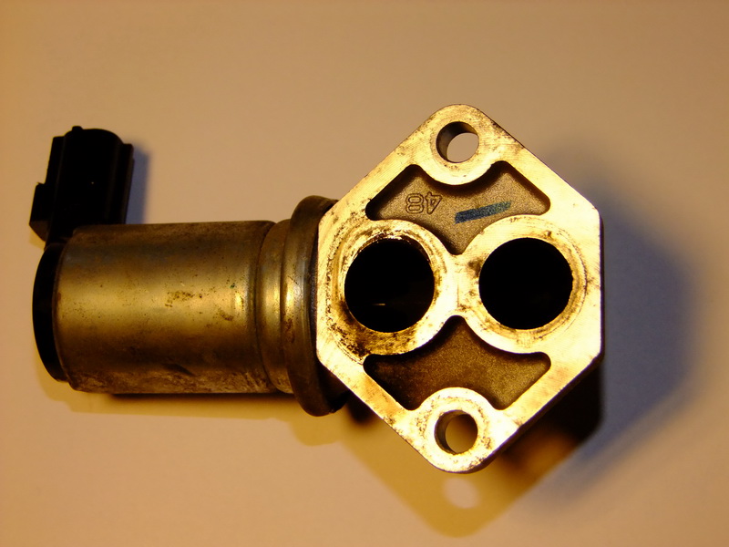krokowiec2.jpg