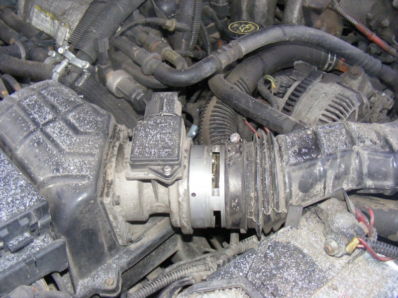 DSCF5095.JPG
