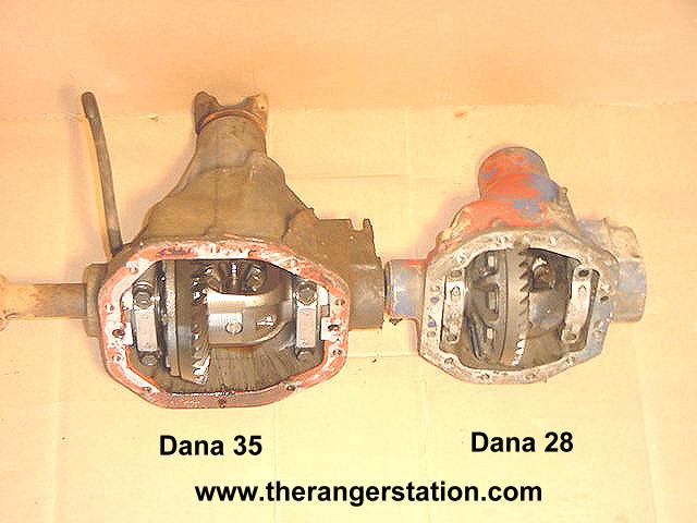 Dana35_3.JPG