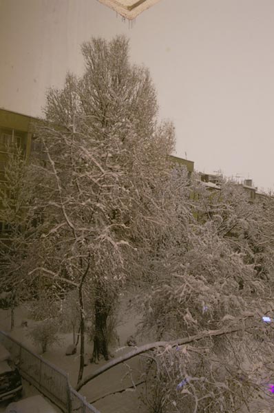 PICT4065.jpg