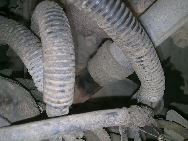 201205292433.jpg
