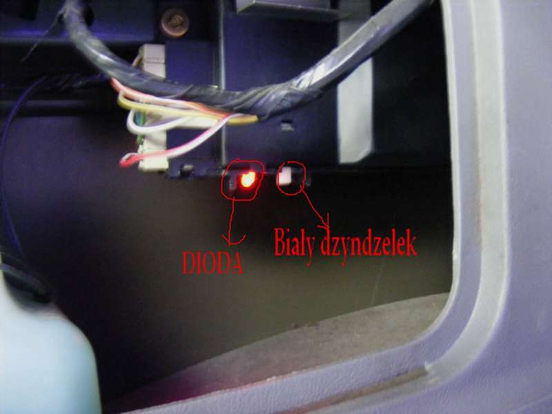 DSCF5436.JPG