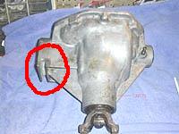 dana3528_2-1.JPG