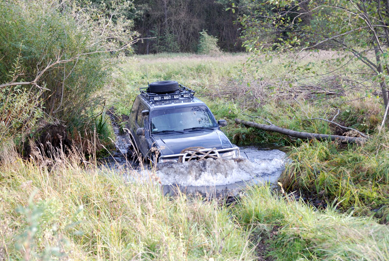 DSC_1005001.jpg