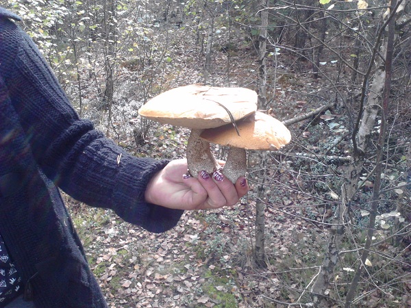 P290912_10.34.jpg