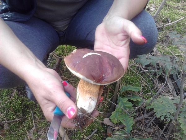 P270912_10.48.jpg