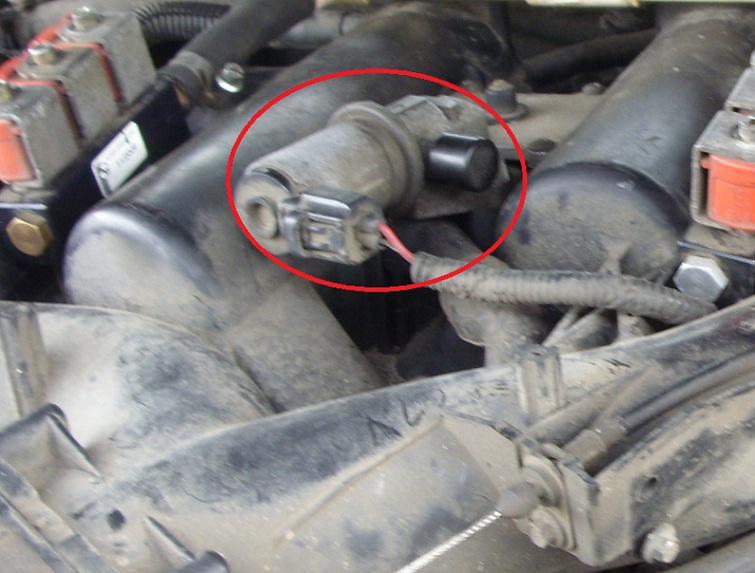 sohc_krokowiec.jpg