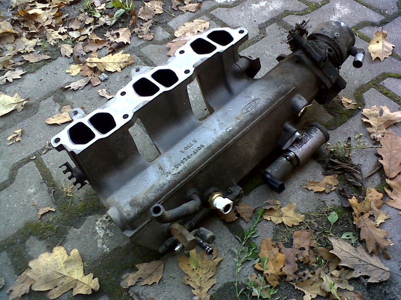 IMG-20131019-01234.jpg
