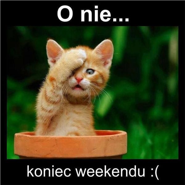 koniec weekendu.jpg