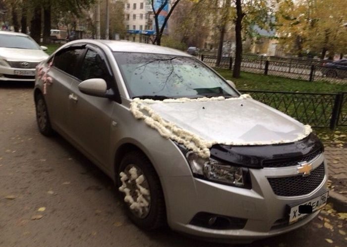 pianka.jpg