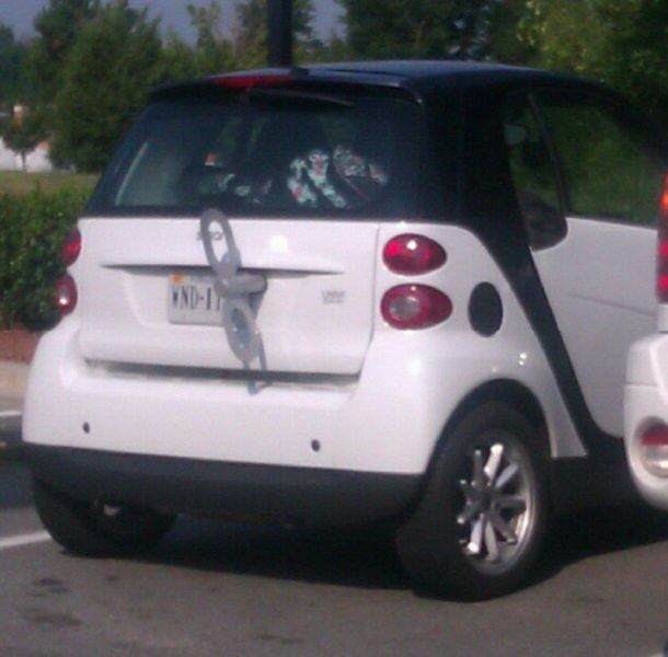 eko smart.jpg