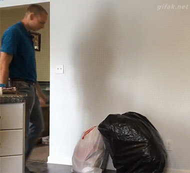 4742_183b.gif