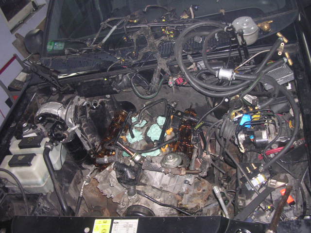 DSCN6392.JPG