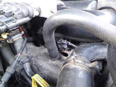 20170901_183310.jpg (539.19 KiB) Przejrzano 14350 razy 20170901_183310.jpg