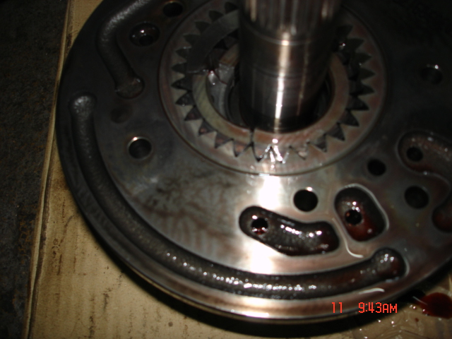 DSC03460.jpg