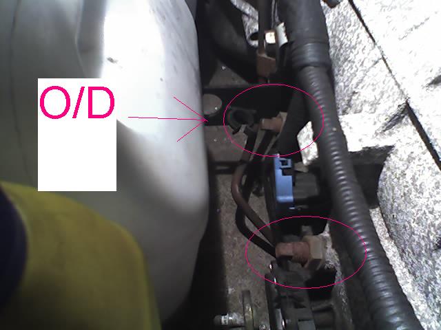 ABCD0018.JPG