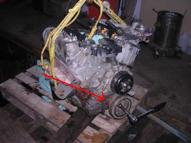 DSCN6455_1.JPG