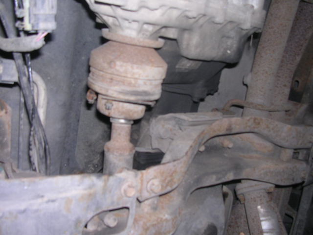 DSCN6402.JPG