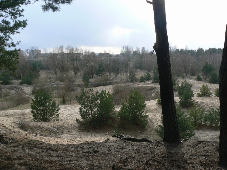 P1030049.JPG