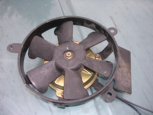 DSCN6394.JPG