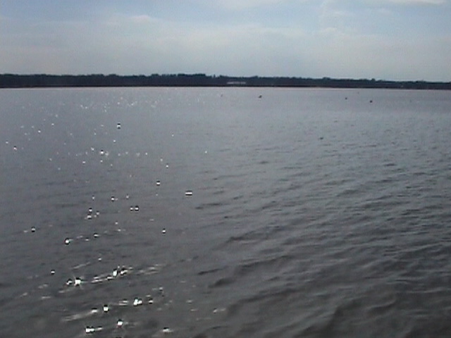 DSC00329.JPG