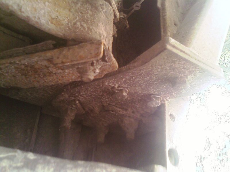 IMAGE_158h.jpg
