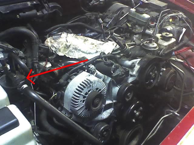 abcd0002_331.jpg