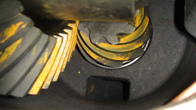 DSC00509.JPG