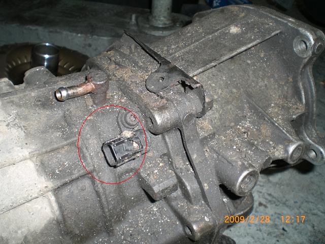 CIMG2767.JPG