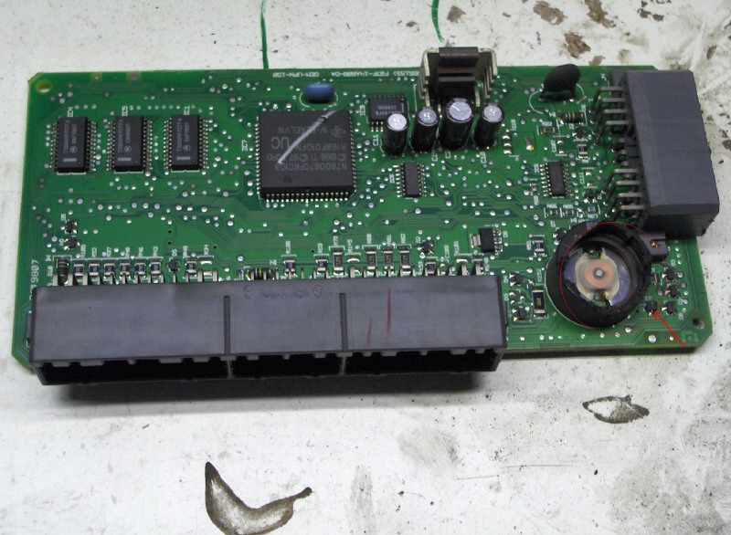 iza 001.jpg