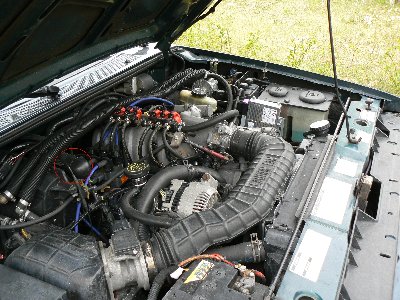 P1010600a.JPG