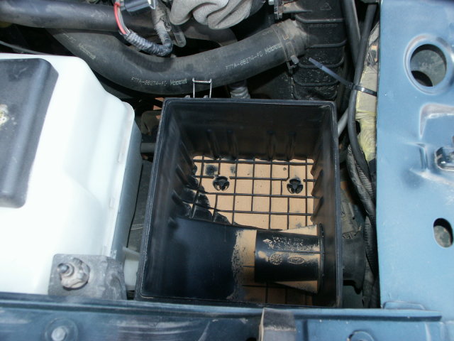 lufi_111.jpg