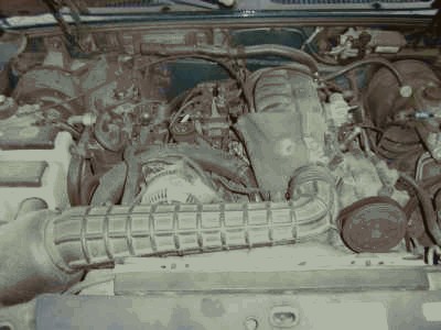219511030_6.jpg