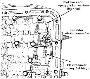 odzawor.jpg
