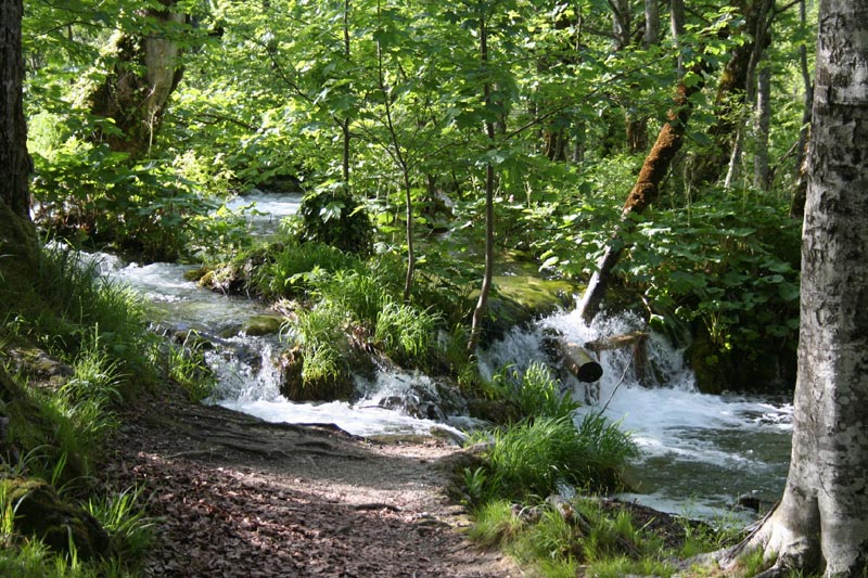 karpaty (7).jpg