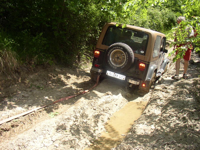karpaty (1).jpg