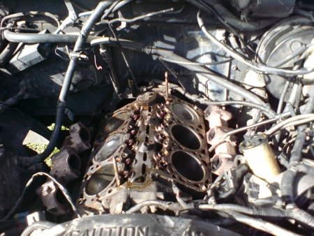 DSC00086.JPG