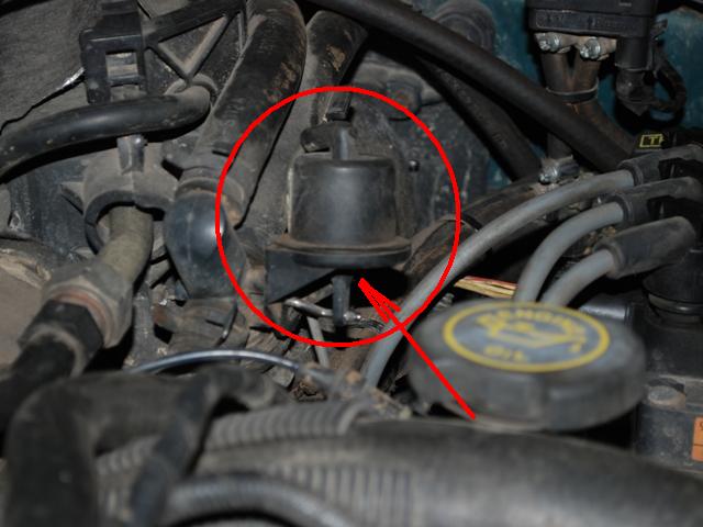 DSC_4766.JPG