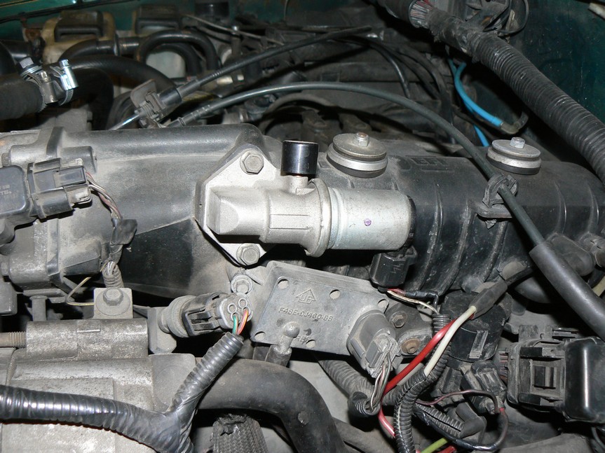 P1020199.JPG