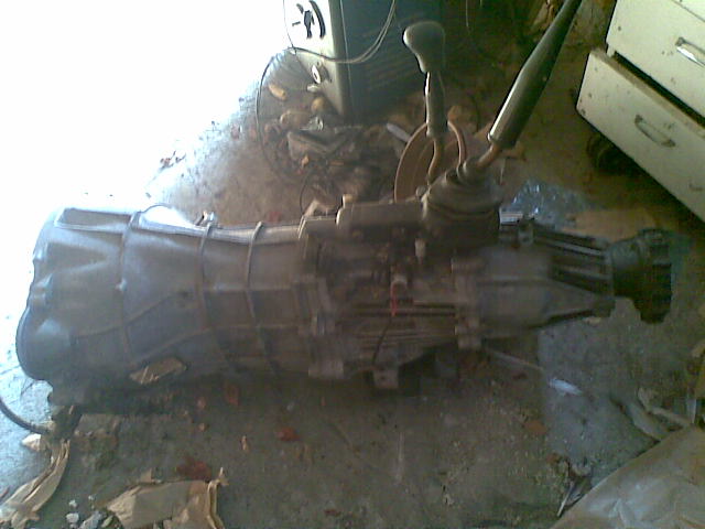 20100123(005).jpg
