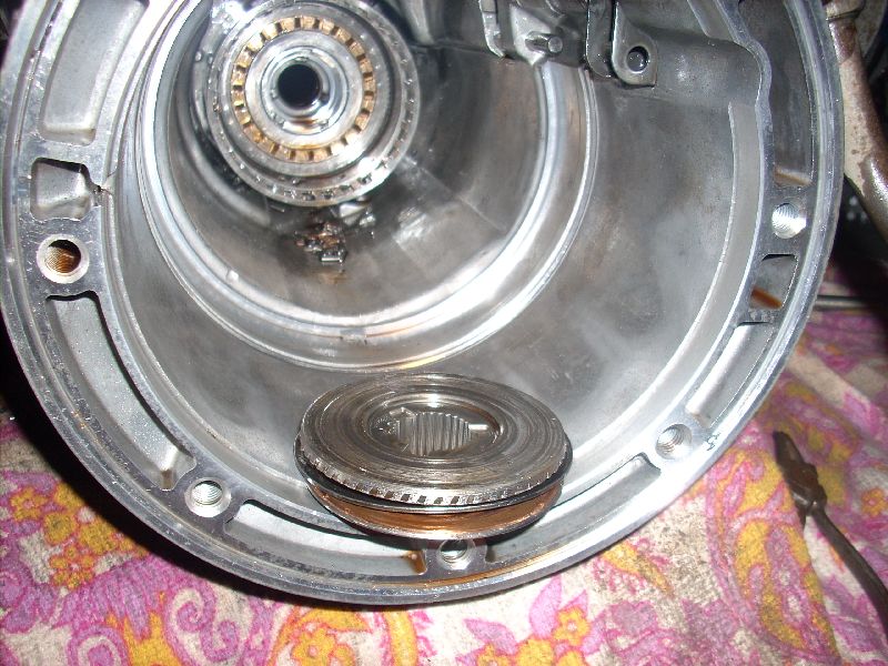 DSCN8429.jpg