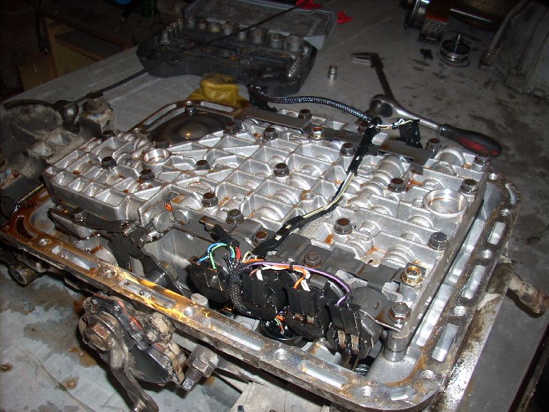 DSCN8337.jpg