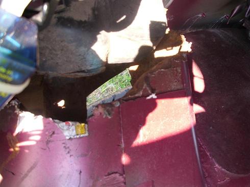 Rost6.jpg