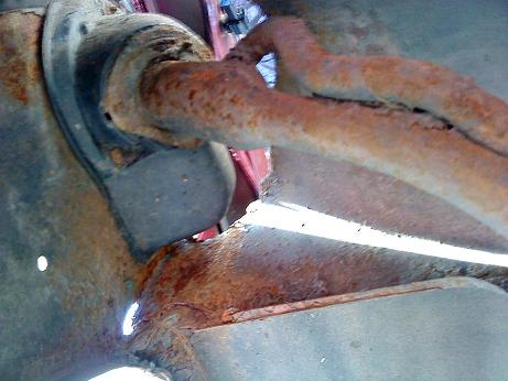 Rost3.jpg